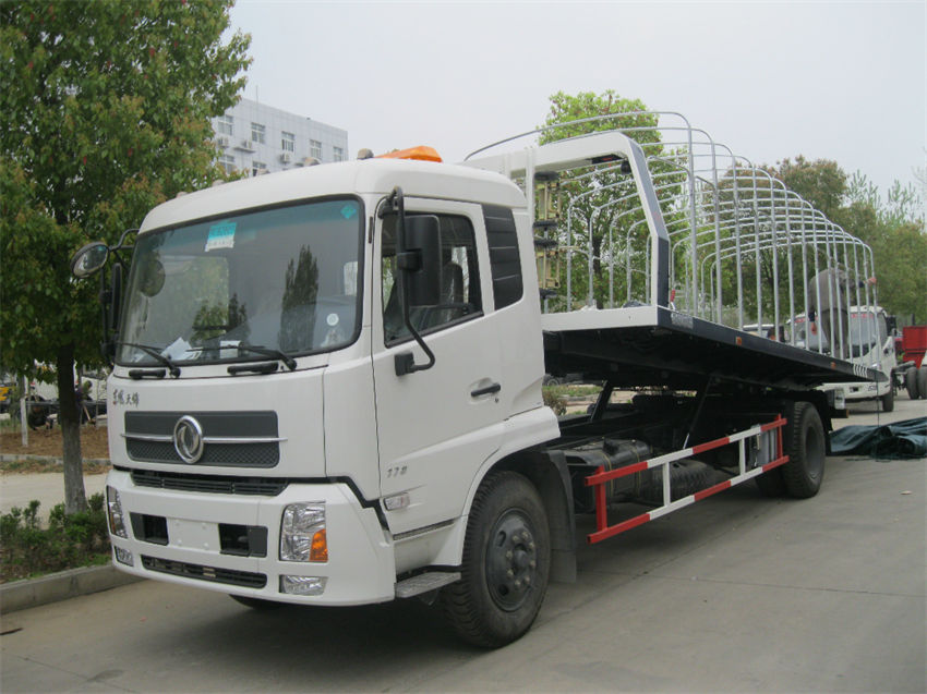 ���嶫�����һ�϶����ϳ�